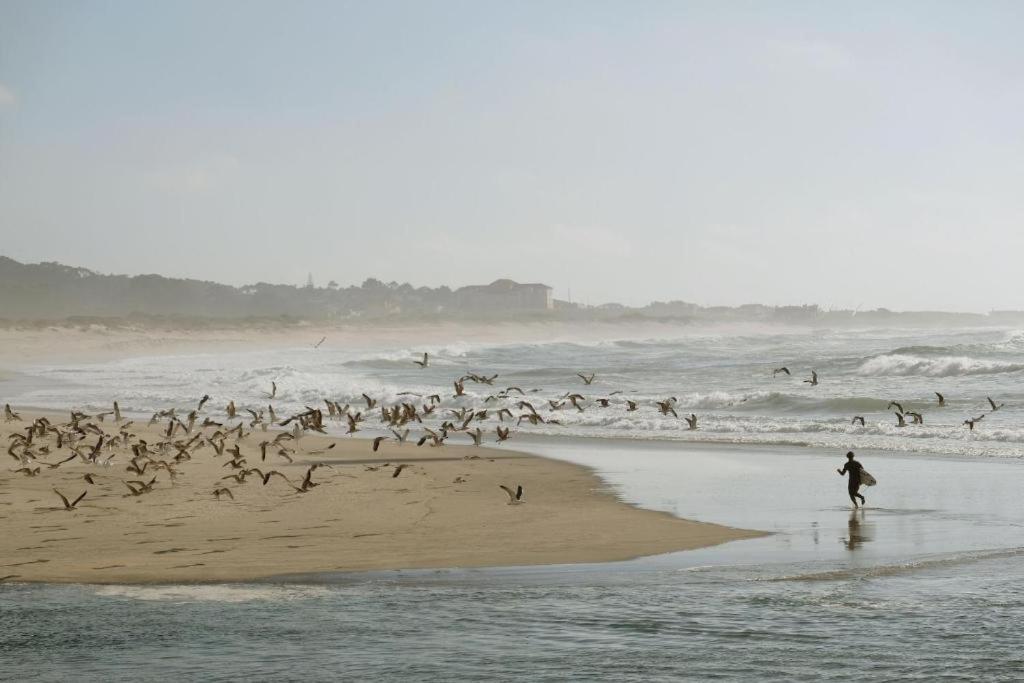 فيلا Quinta Da Quinhas Vila Praia de Âncora المظهر الخارجي الصورة