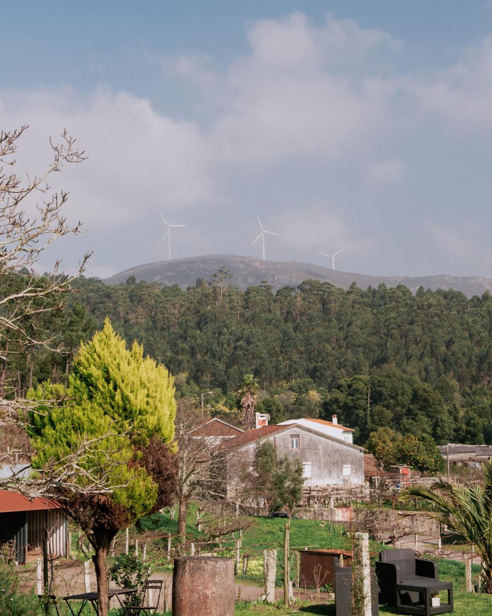 فيلا Quinta Da Quinhas Vila Praia de Âncora المظهر الخارجي الصورة