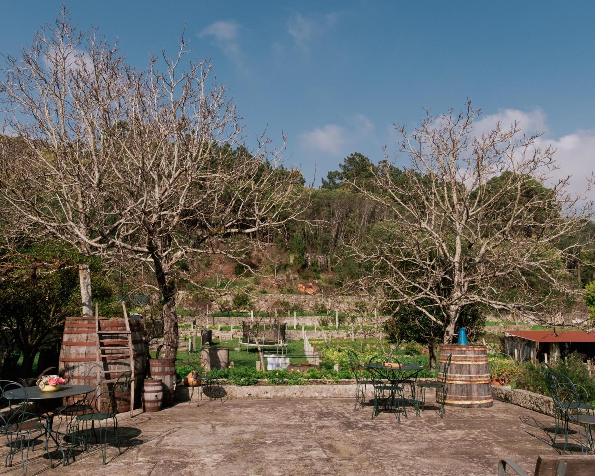 فيلا Quinta Da Quinhas Vila Praia de Âncora المظهر الخارجي الصورة
